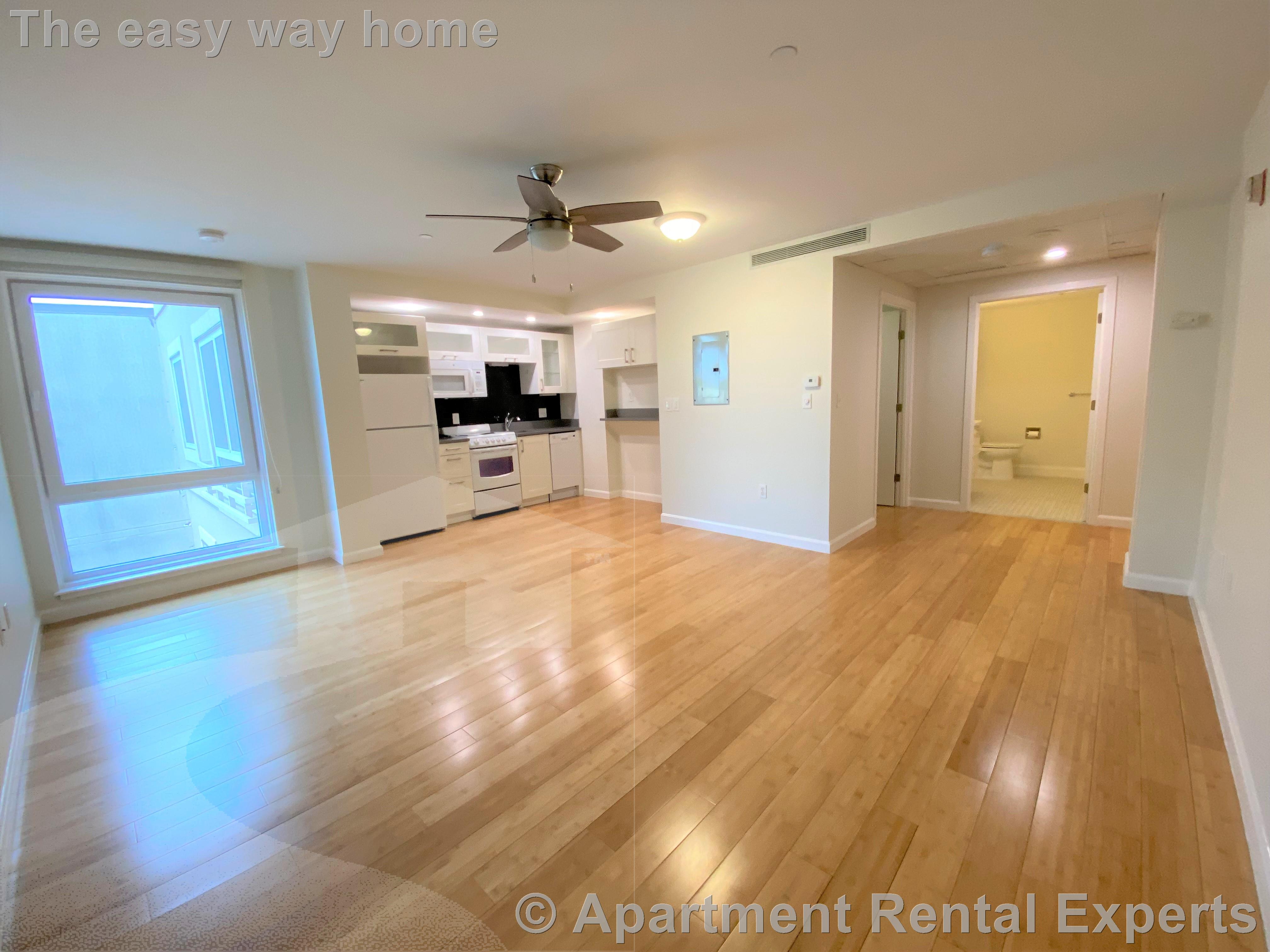 1008 Massachusetts Ave, Harvard Square