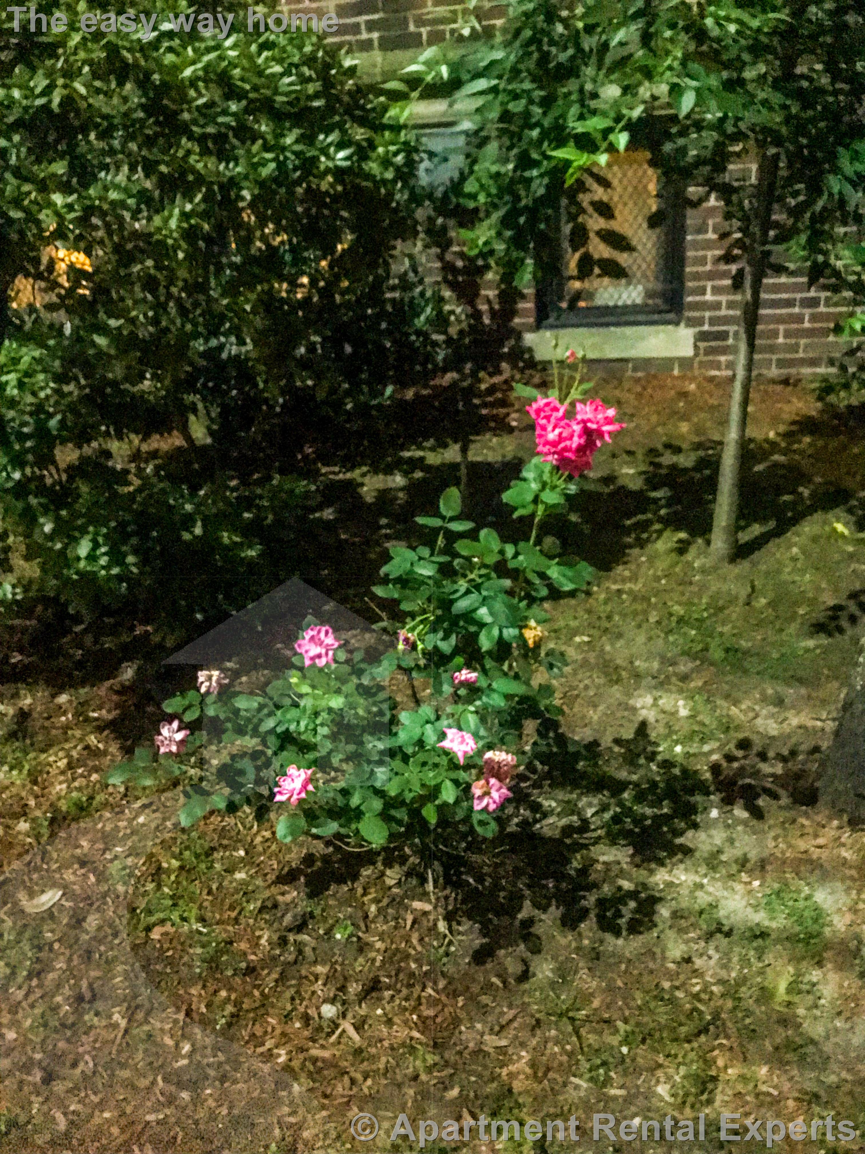 10 Agassiz St, Porter Square