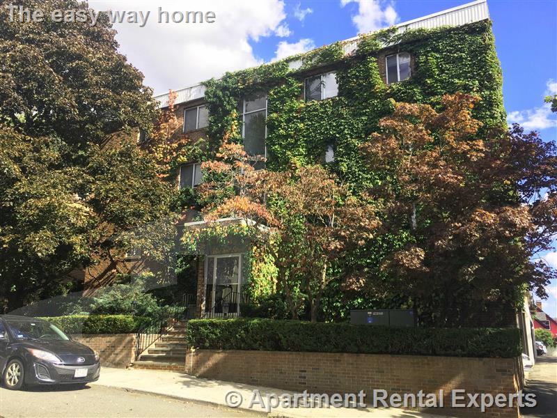 41 Belmont St, Porter Square