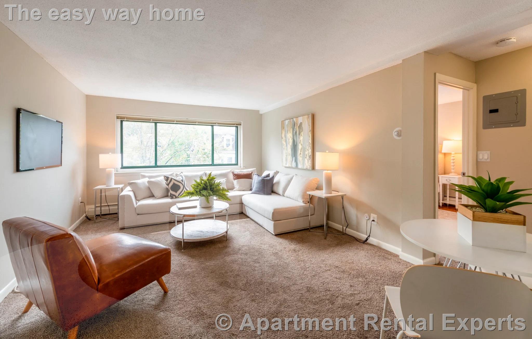 375 Harvard St, Harvard Square