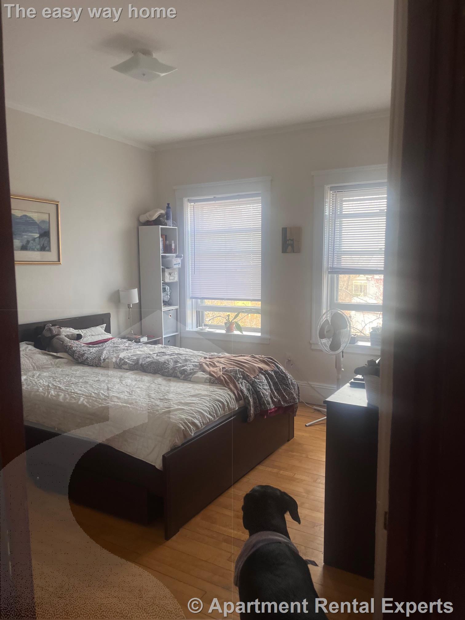 5 Linnaean St, Porter Square