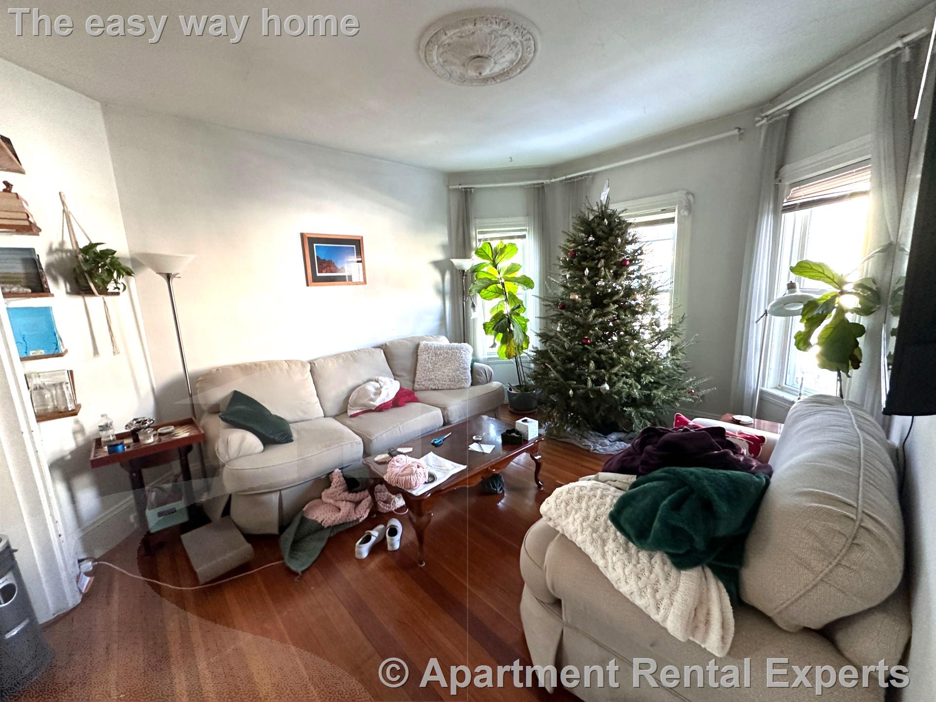 37-39 Josephine Ave, Davis Square