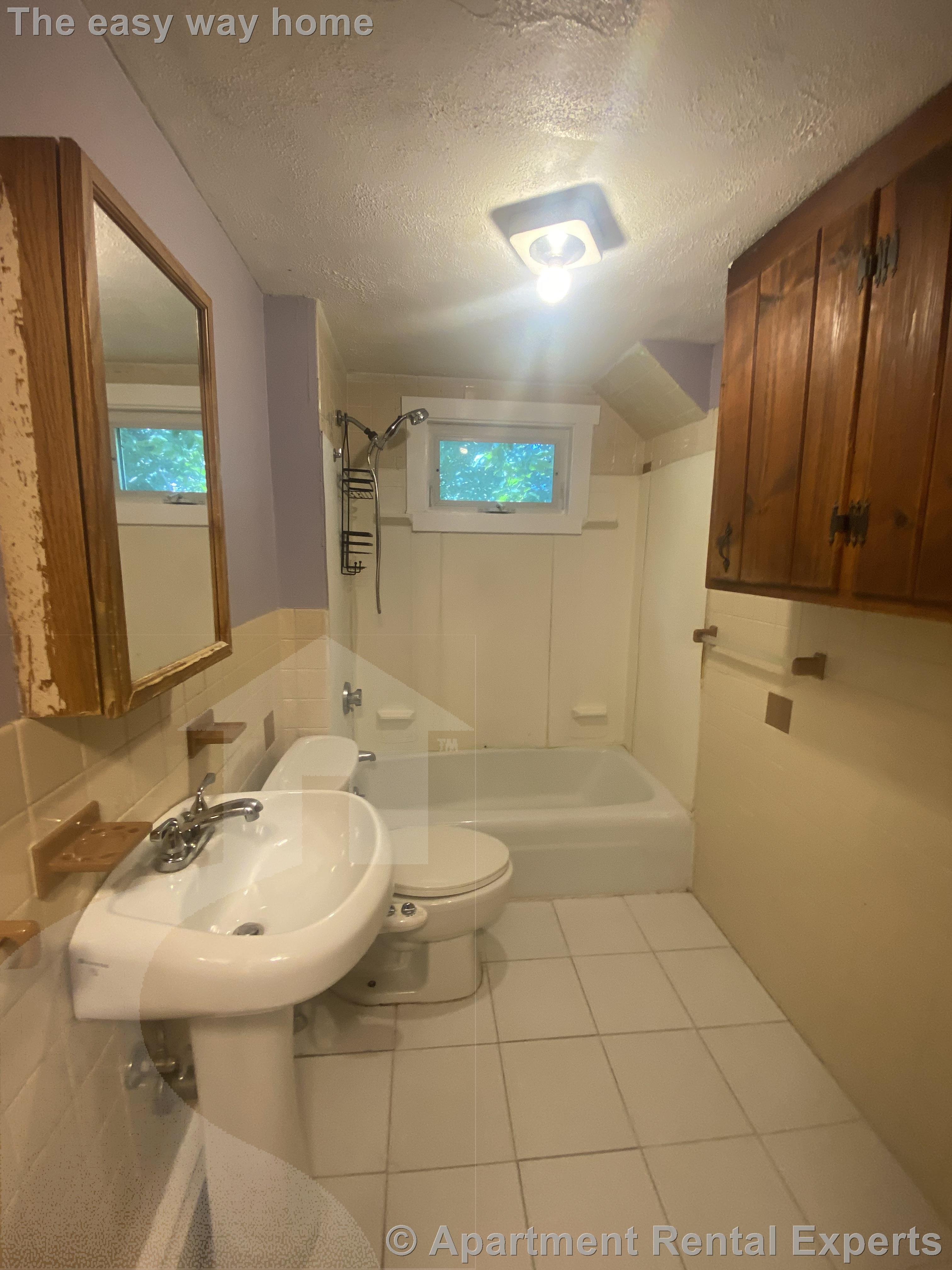 201 Forest St, Arlington Heights