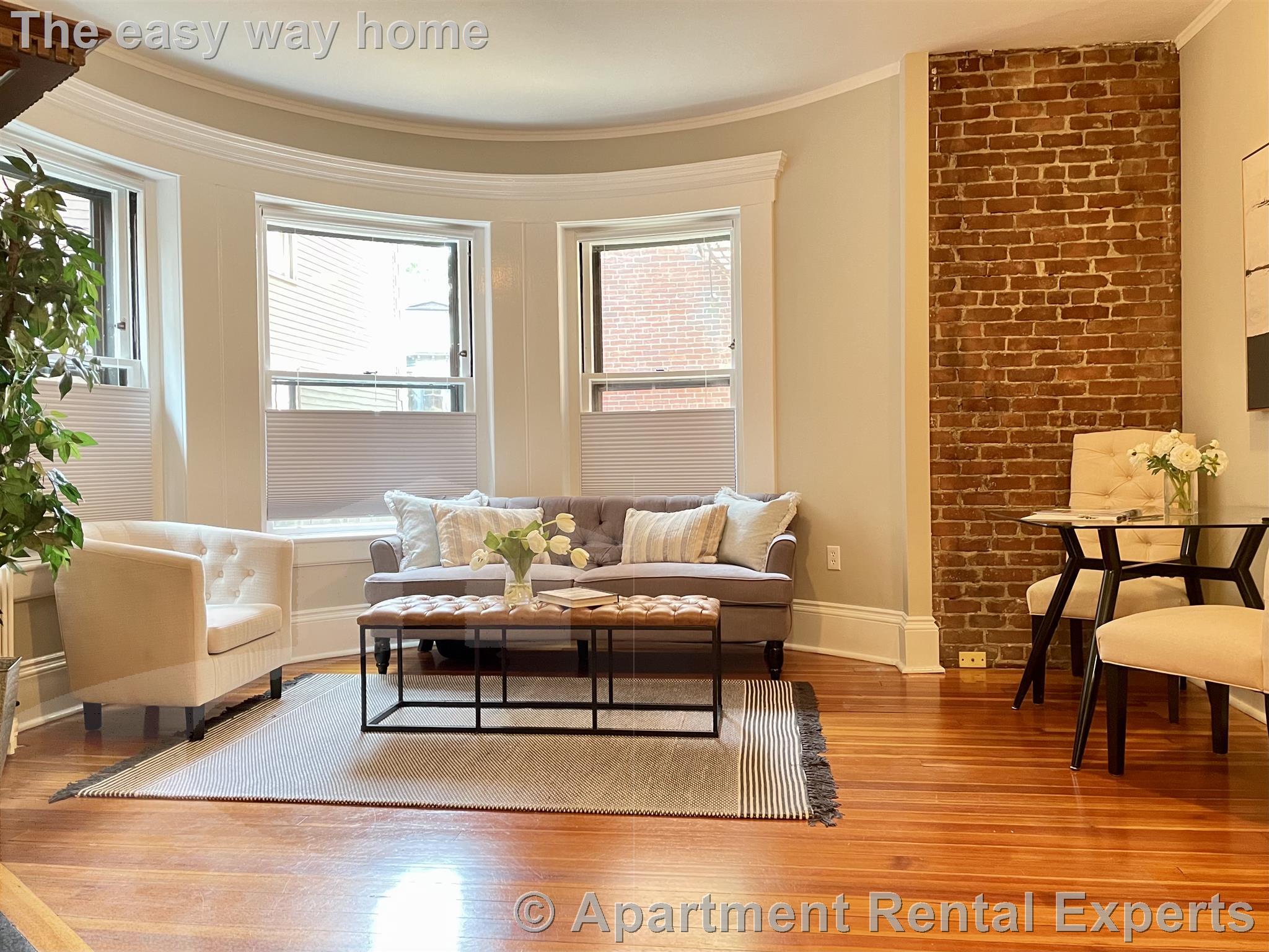 1137 Massachusetts Ave, Harvard Square