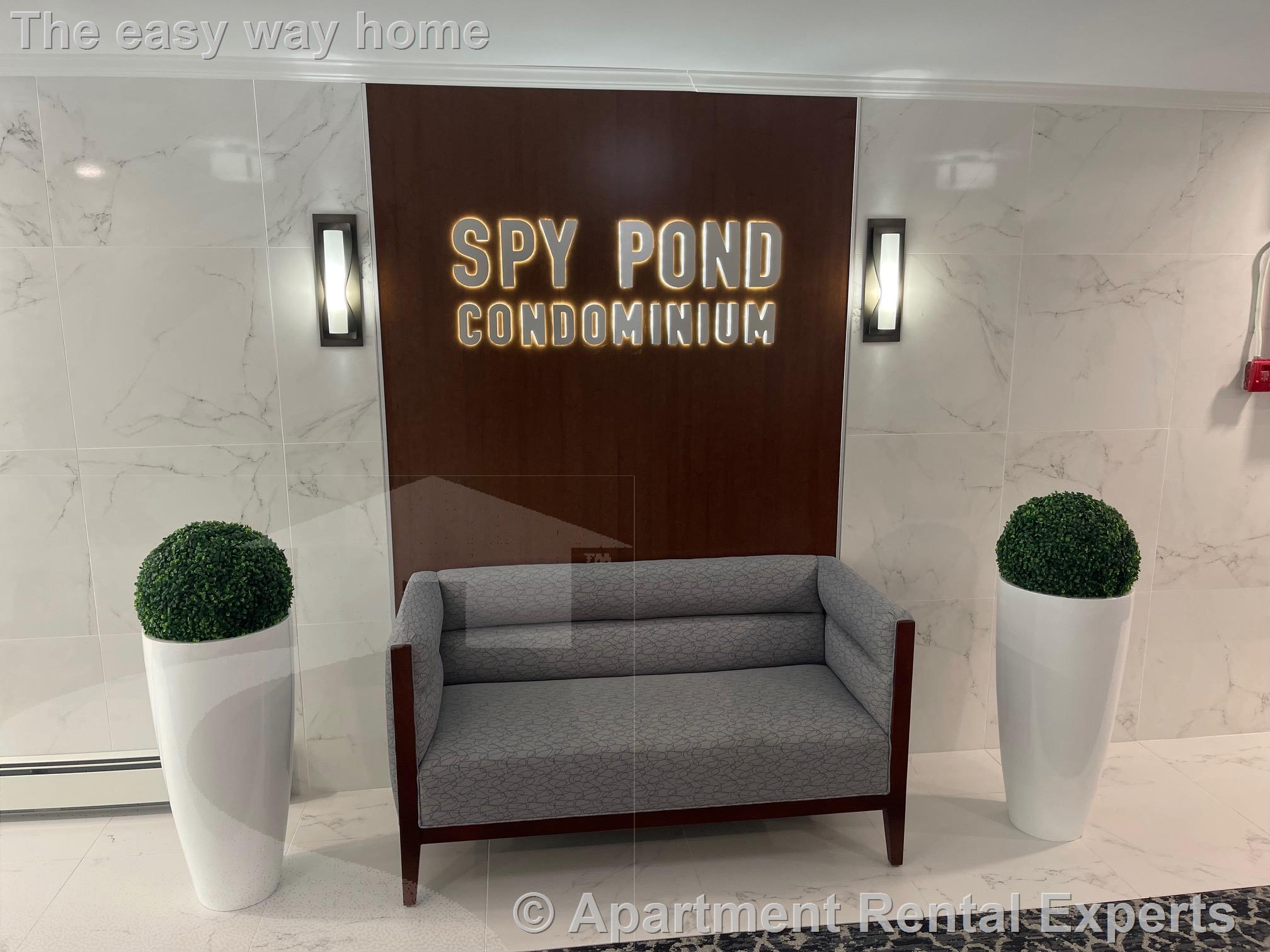 34 Hamilton Rd, Arlington Center