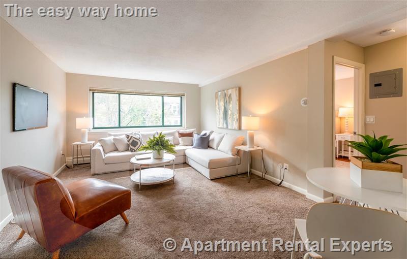 375 Harvard St, Harvard Square