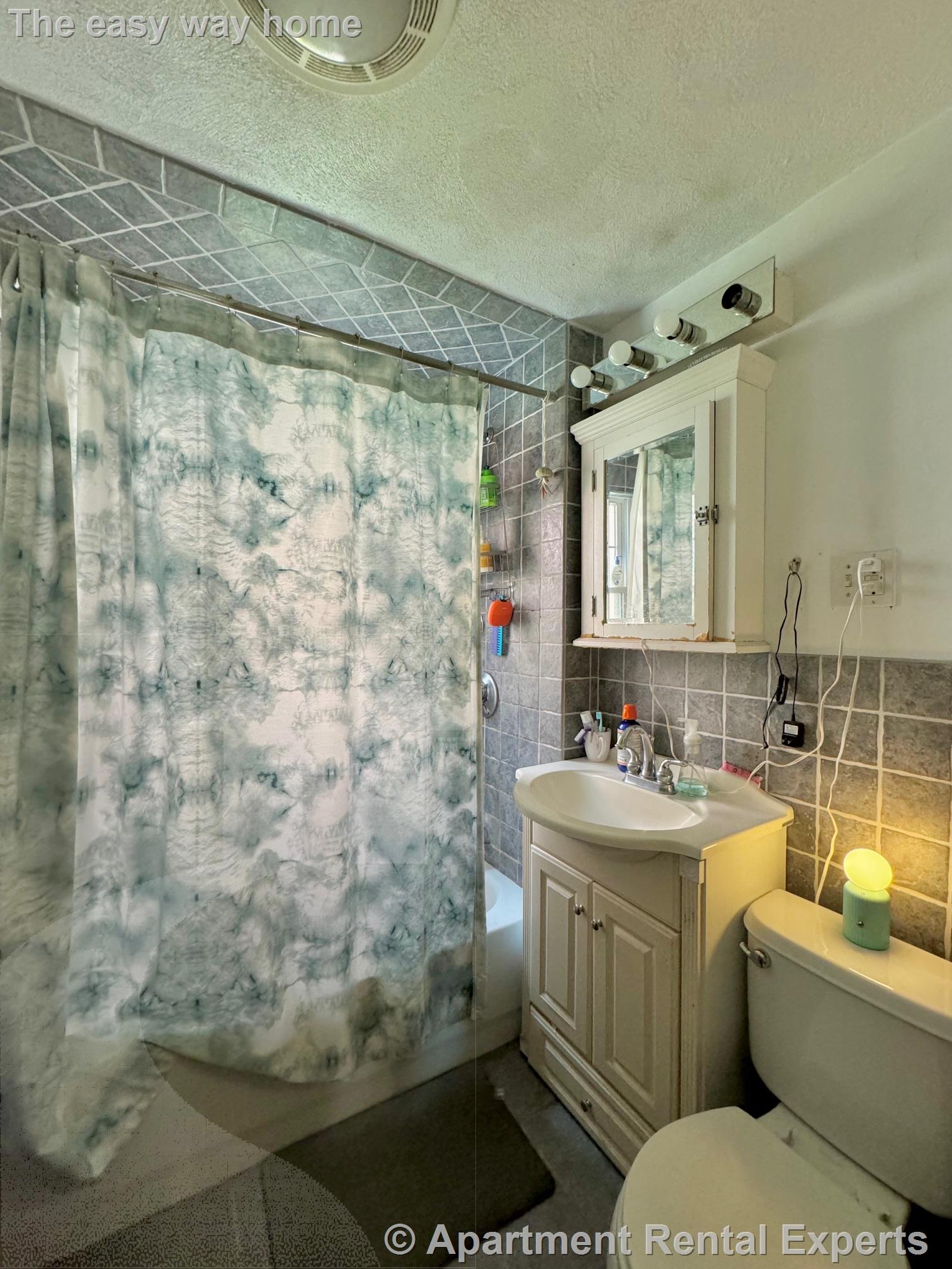 63 Liberty Ave, Davis Square