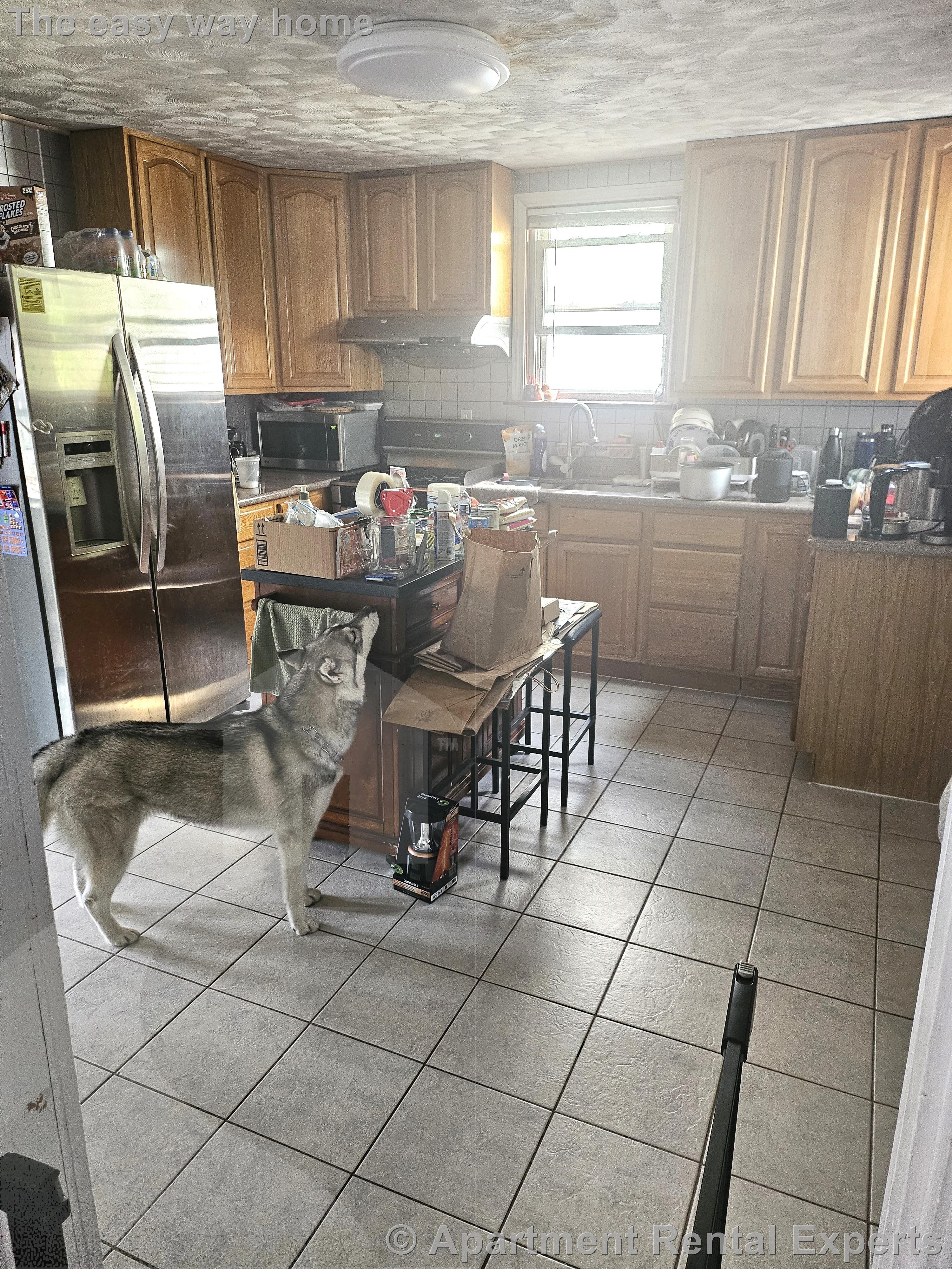 98 Jaques St, Winter Hill