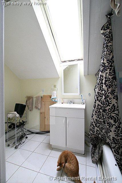 647 Cambridge St, East Cambridge