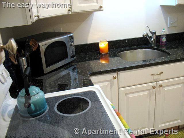 91 Pearson Ave, Davis Square