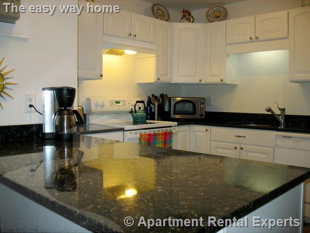 91 Pearson Ave, Davis Square