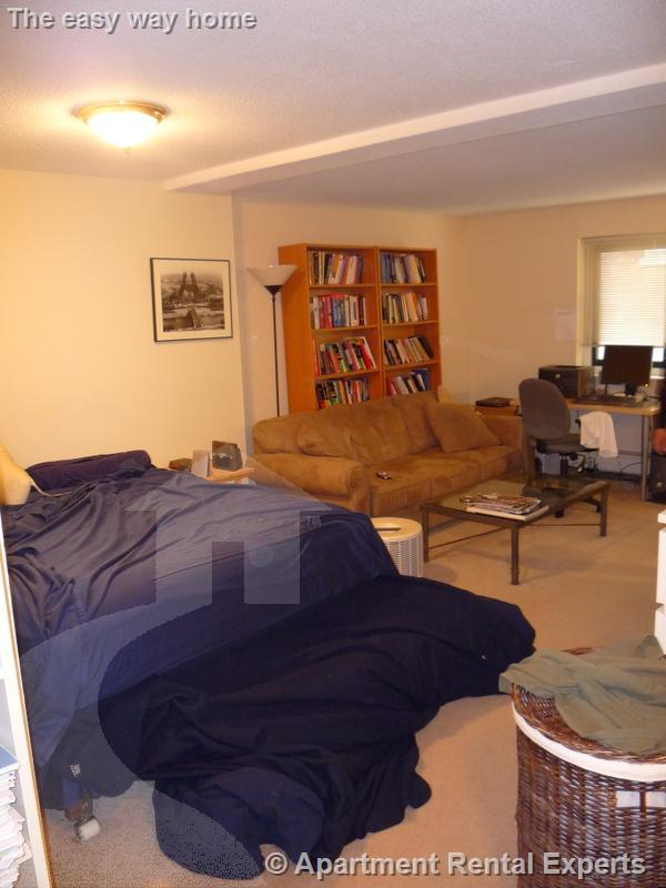 375 Harvard St, Harvard Square