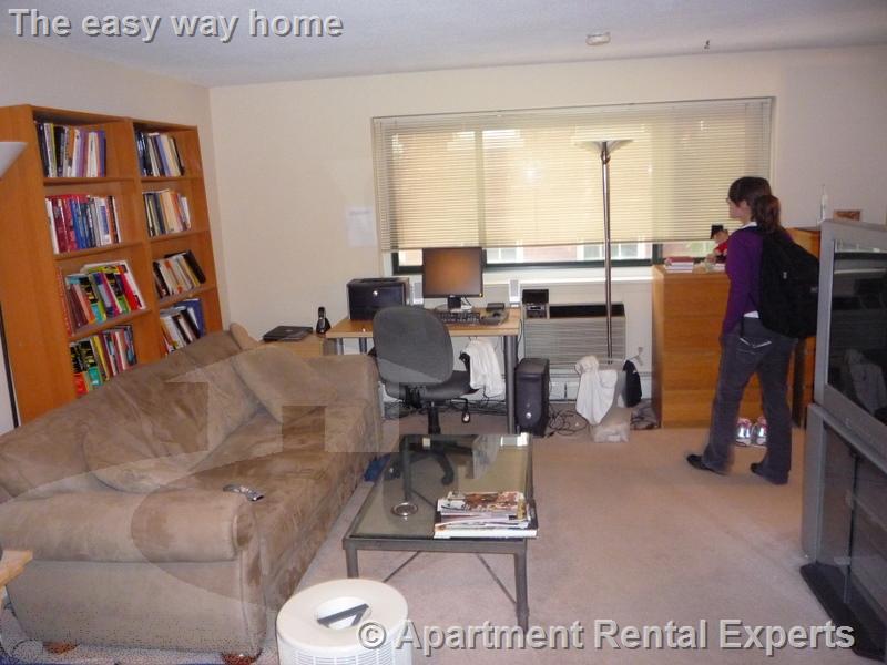 375 Harvard St, Harvard Square