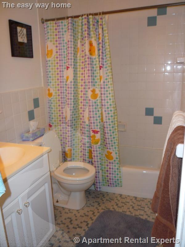 375 Harvard St, Harvard Square