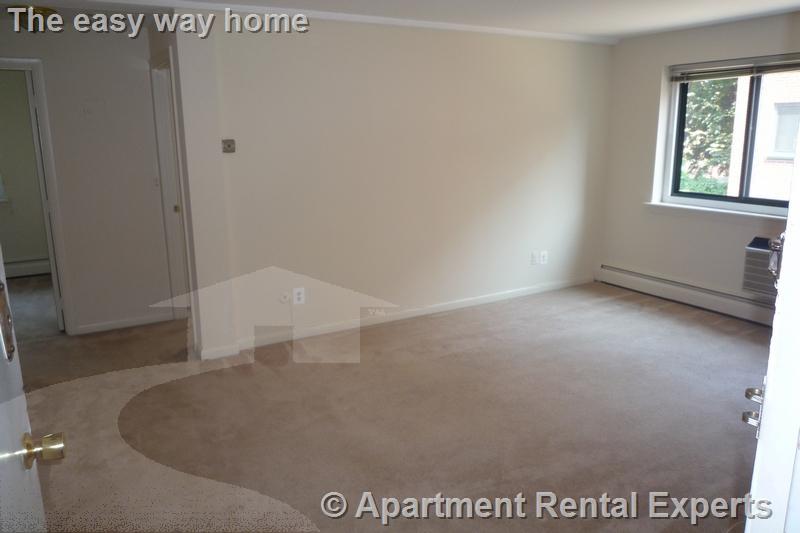 375 Harvard St, Harvard Square