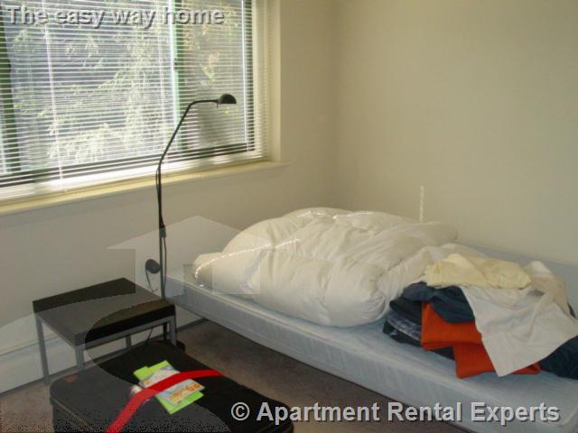 375 Harvard St, Harvard Square