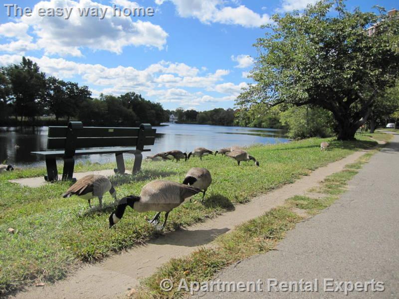 221 Mt Auburn, Harvard Square