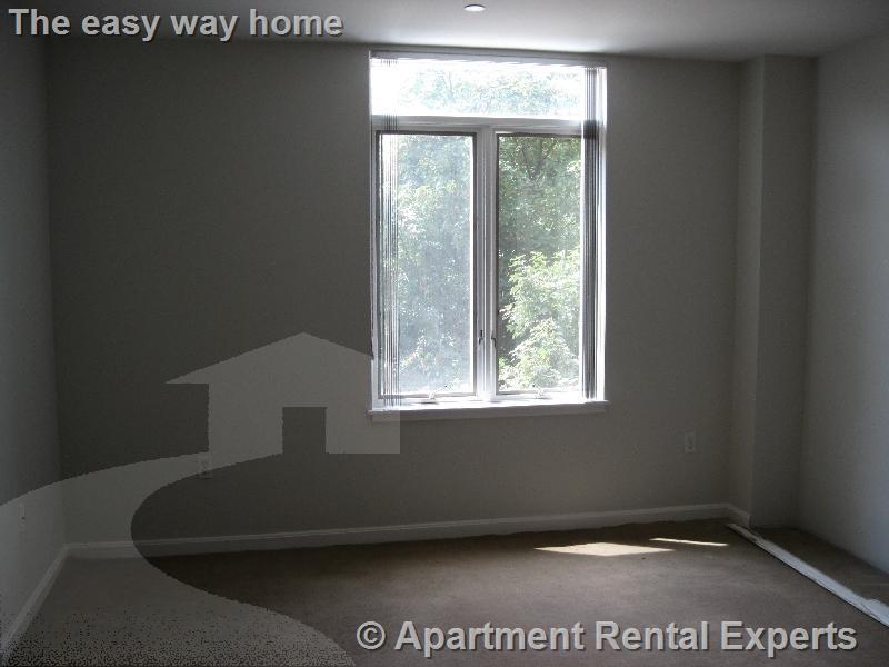 1008 Massachusetts Ave, Harvard Square