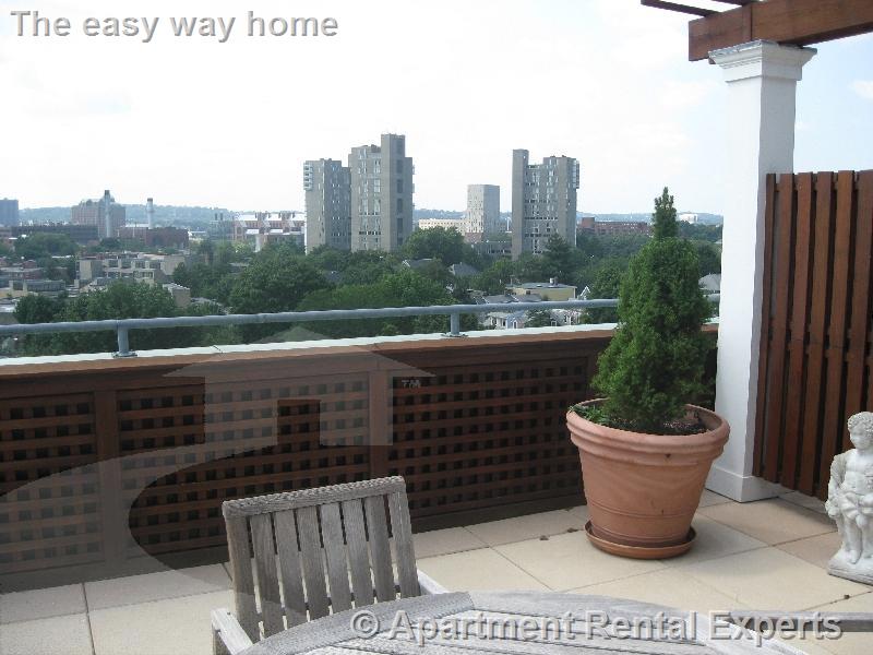 1008 Massachusetts Ave, Harvard Square