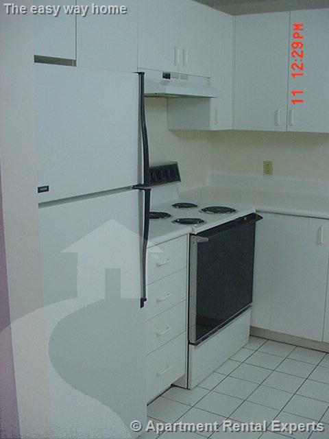 16 Elmer St, Riverside