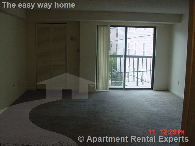 16 Elmer St, Riverside