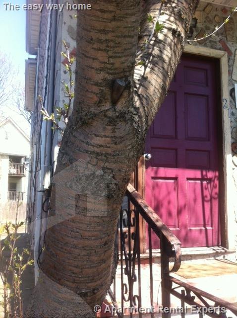 21 Elm St, Porter Square