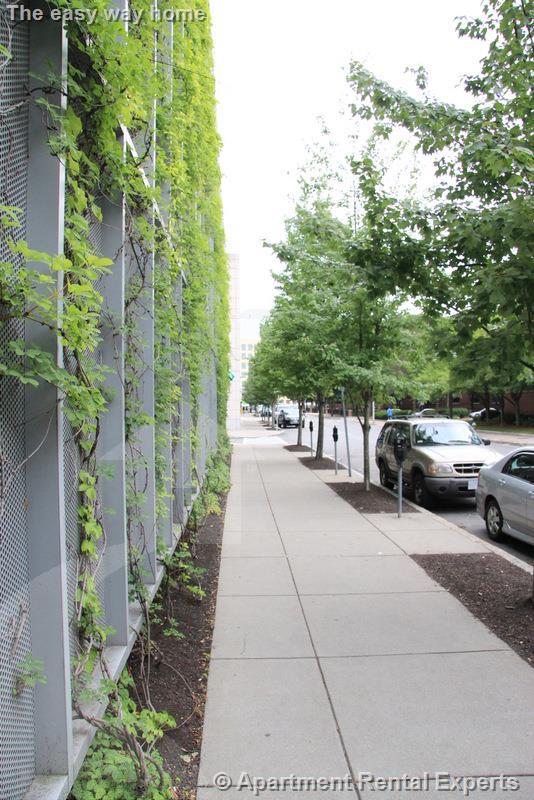 119 Harvard St, Kendall Square