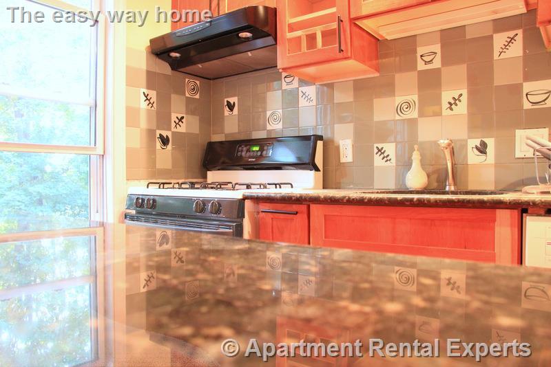 11R Albion St, Spring Hill