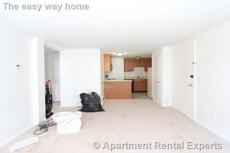 375 Harvard St, Harvard Square