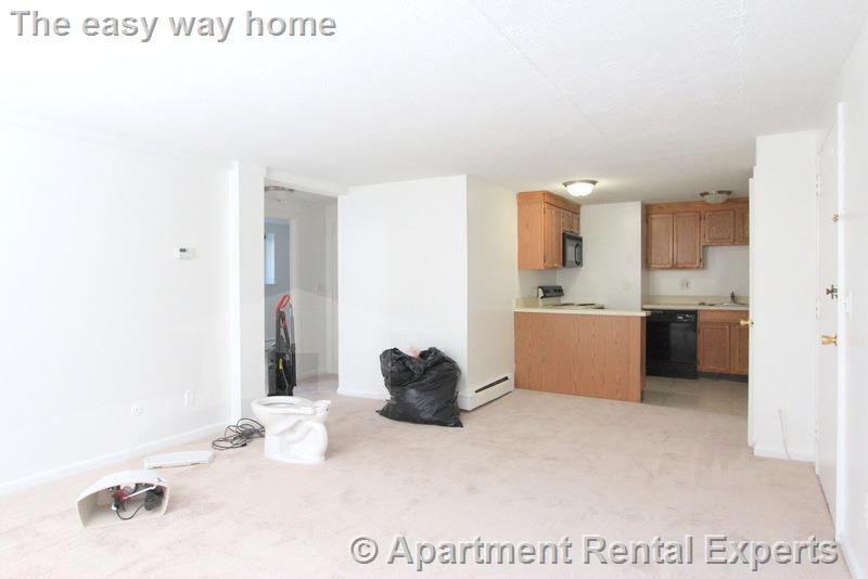 375 Harvard St, Harvard Square