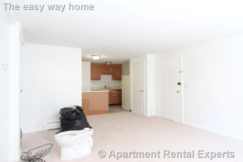 375 Harvard St, Harvard Square