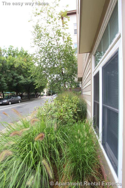 21 Brookline St, Central Square