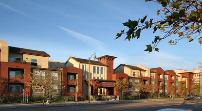 Image of Camino Al Oro