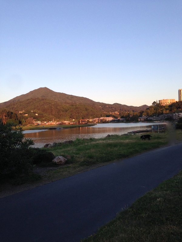 Low Apartments and Affordable Housing For Rent in Larkspur, CA