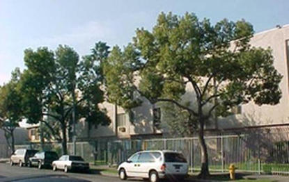 Image of Pico Plaza Apartments