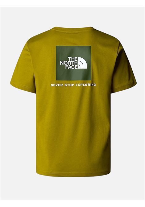 T-Shirt The North Face THE NORTH FACE | T-shirt | NF0A87NPF9K1