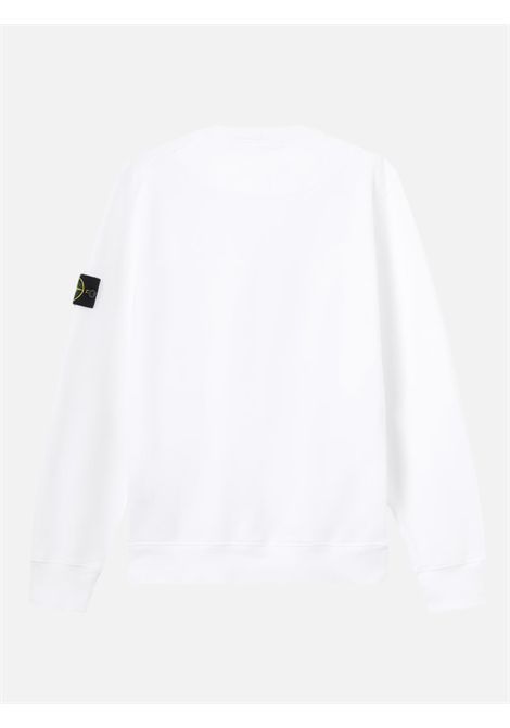 Sweatshirt crewneck Stone Island Stone Island |  sweatshirts | 6100060S0051V0001