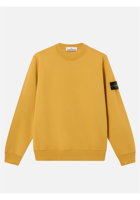 Sweatshirt crewneck Stone Island Stone Island |  sweatshirts | 6100060S0051V0034