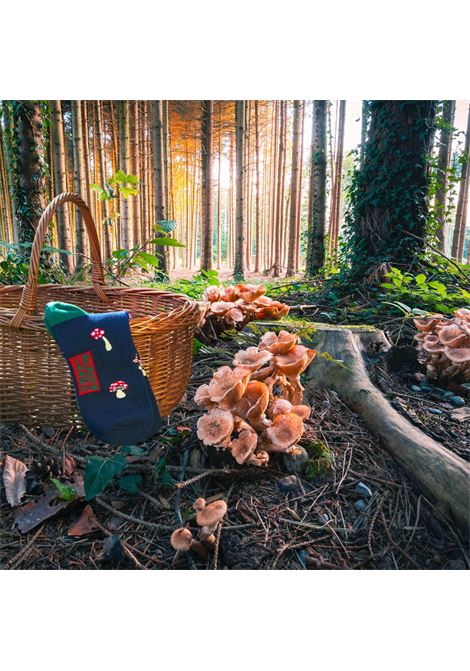 Calzini funghetti SOCKS BURGER AND FRIES | BF1011MUSHROOM