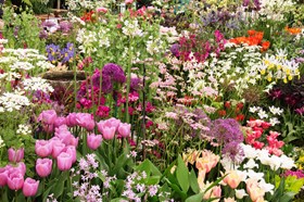 chelsea 2017 img_1186.jpg