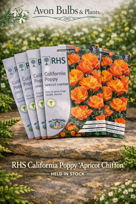 California Poppy Seeds