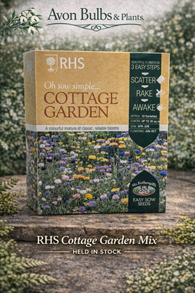 Cottage Garden Flower Mix