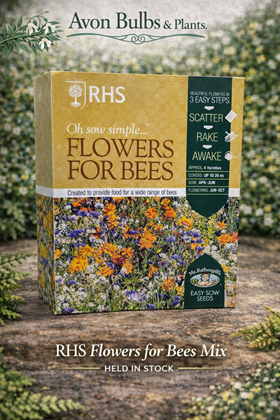 Flowers for Bees Mix