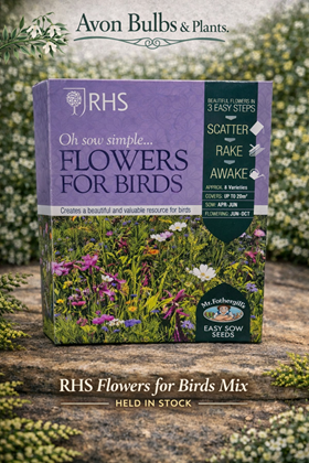 Flowers for Birds Mix