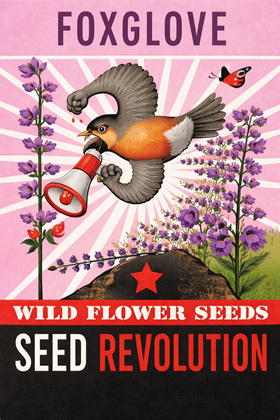 Foxglove (Digitalis purpurea) – Wildflower Seed