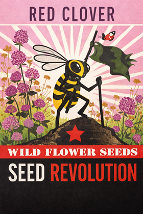 Red Clover (Trifolium pratense) – Wildflower Seed