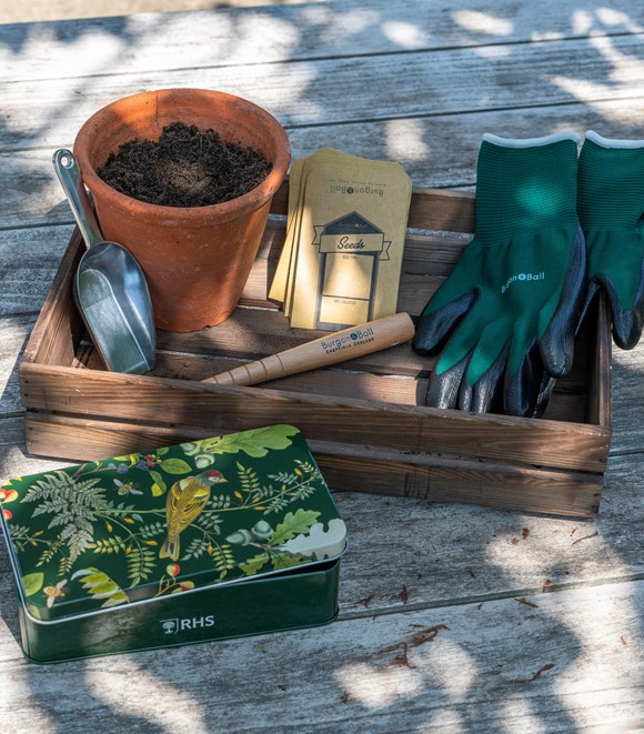 RHS Woodland Wonders Sowing & PottingTin 
