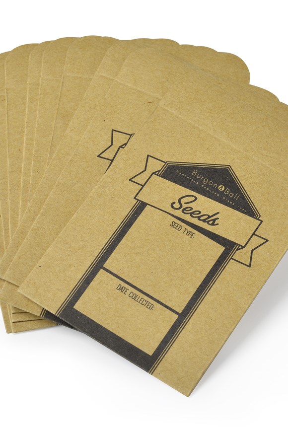 Seed Storage Envelopes (Pack of 12)