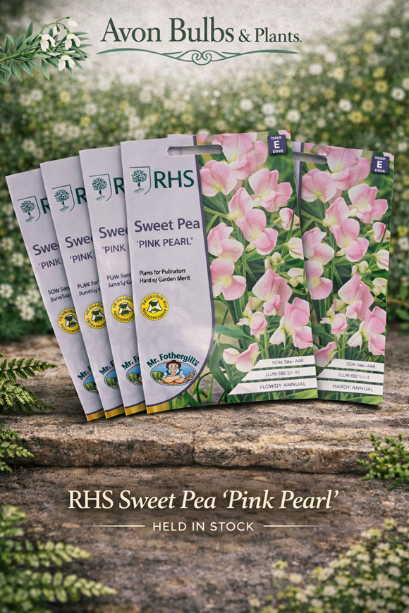 Sweet Pea ‘Pink Pearl’ Seeds