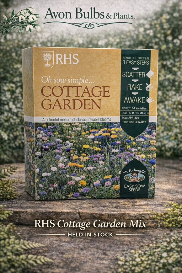 Cottage Garden Flower Mix